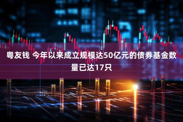 粤友钱 今年以来成立规模达50亿元的债券基金数量已达17只