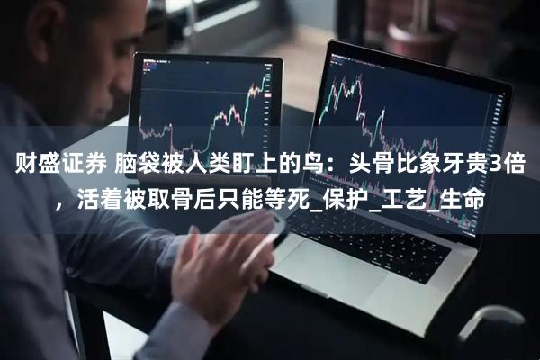 财盛证券 脑袋被人类盯上的鸟：头骨比象牙贵3倍，活着被取骨后只能等死_保护_工艺_生命