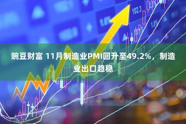 豌豆财富 11月制造业PMI回升至49.2%，制造业出口趋稳