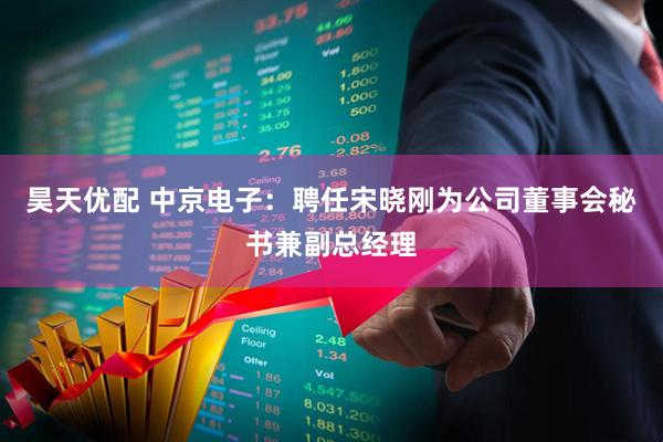 昊天优配 中京电子：聘任宋晓刚为公司董事会秘书兼副总经理